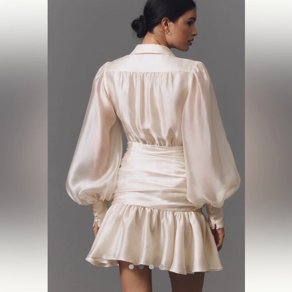 Anthropologie NWT Bardot Milani Drop-Waist Organza Mini Shirt Dress size 6. - Picture 4 of 11